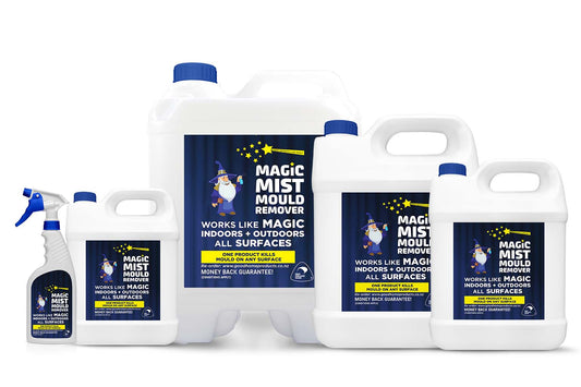 MagicMist Instant Mould & Mildew Remover